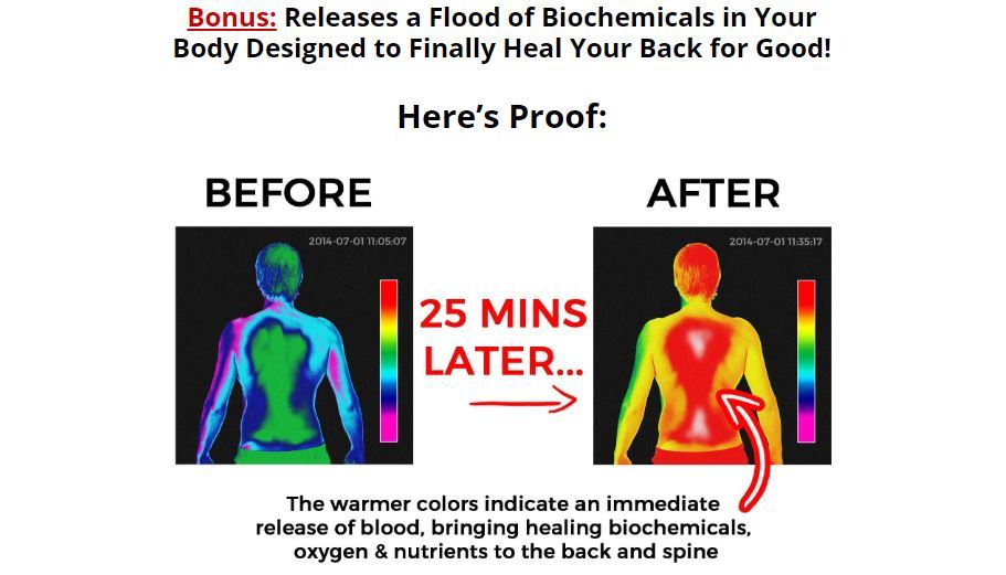 release blood biochemicals