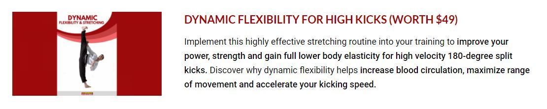 dynamic flexibility
