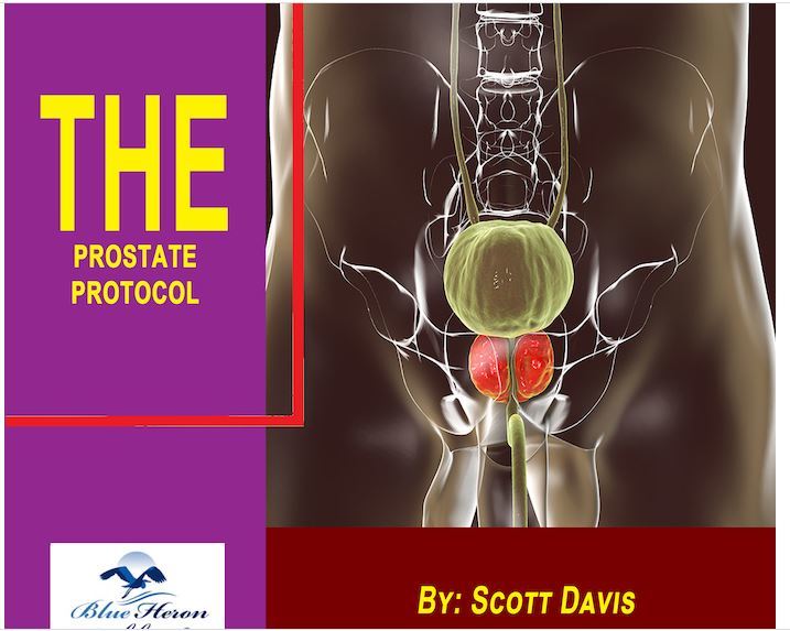 the prostate protocol