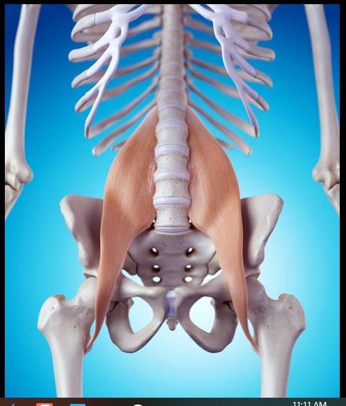 unlock your hip flexors psoas muscle